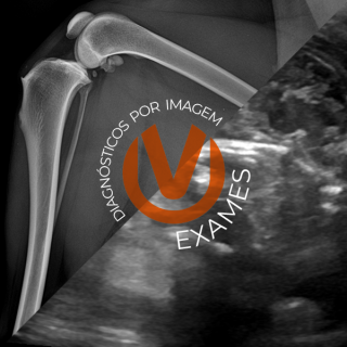 Univen Veterinaria Exames
